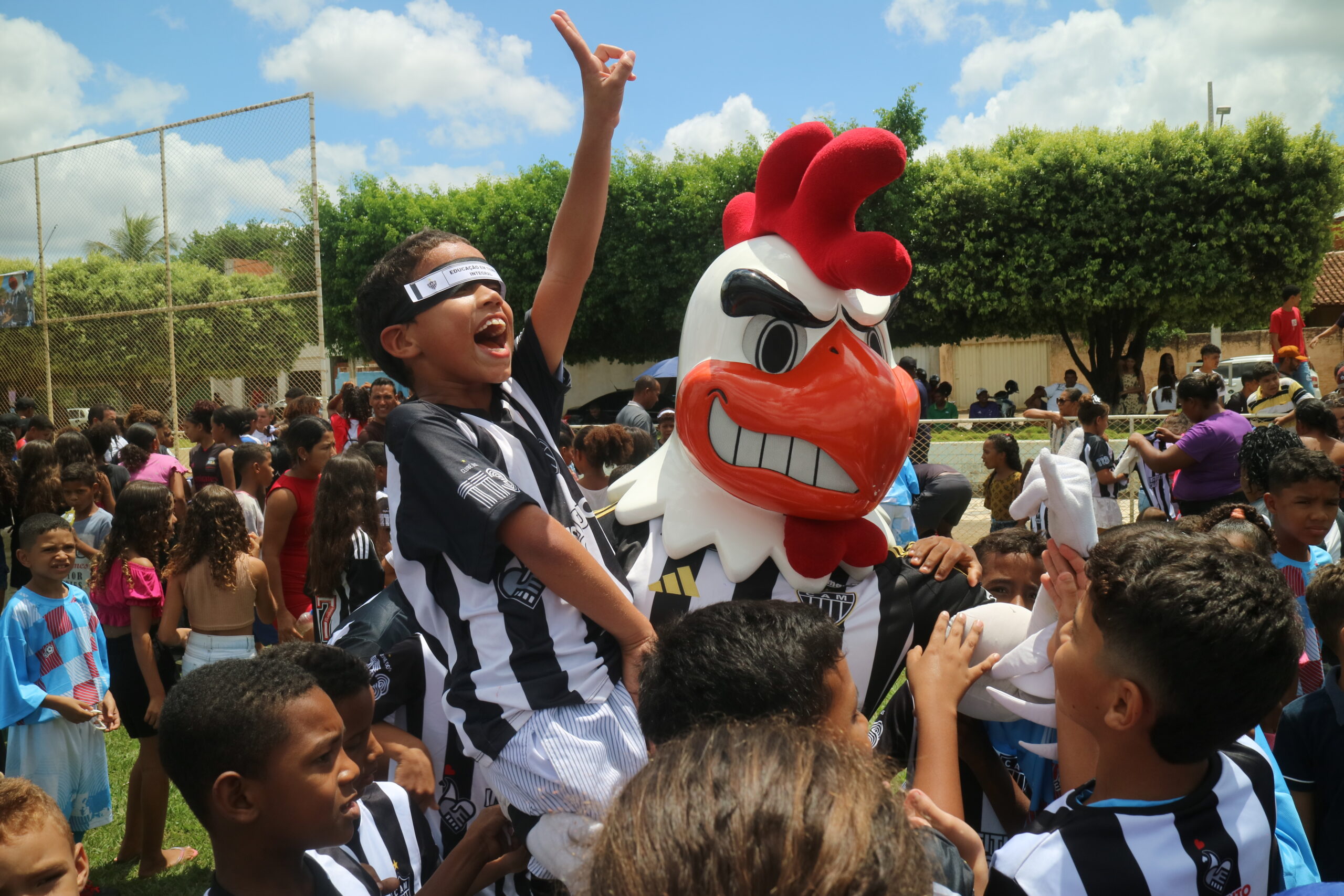 Foto: Henrique Toscano/Instituto Galo